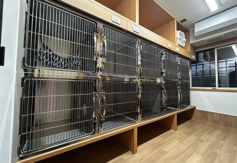 泉区和泉が丘・アニマル ライフ サポート