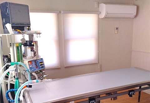 泉区和泉が丘・アニマル ライフ サポート