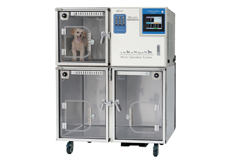 泉区和泉が丘・アニマル ライフ サポート