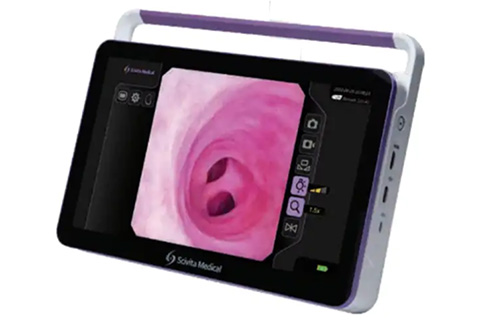 泉区和泉が丘・アニマル ライフ サポート