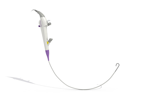 泉区和泉が丘・アニマル ライフ サポート